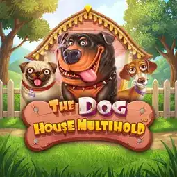 The Dog House Multihold game at Rooli Casino for Australia players